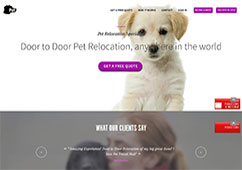 Pet Travel Hub 